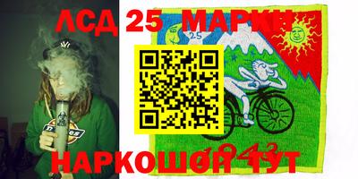 индика Усть-Илимск